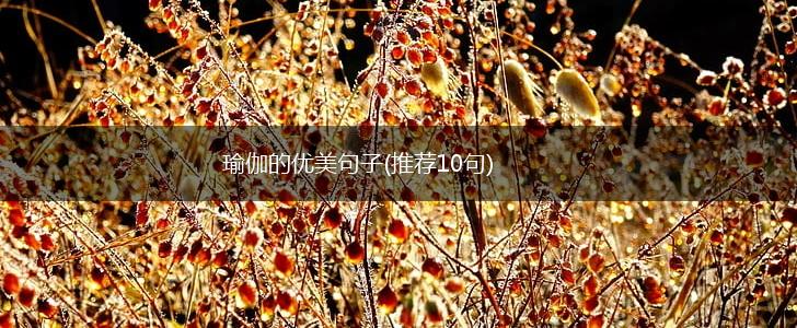 瑜伽的优美句子(推荐10句),第1张
