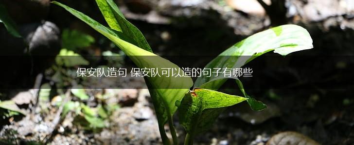保安队造句 保安队可以造的句子有哪些,第1张