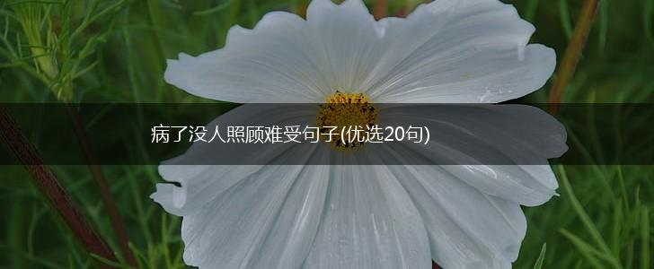 病了没人照顾难受句子(优选20句),第1张