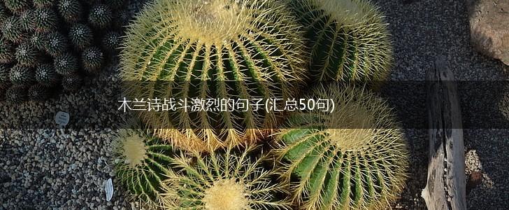 木兰诗战斗激烈的句子(汇总50句),第1张