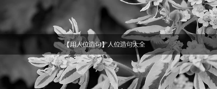 【用人位造句】人位造句大全,第1张 【用人位造句】人位造句大全,第1张