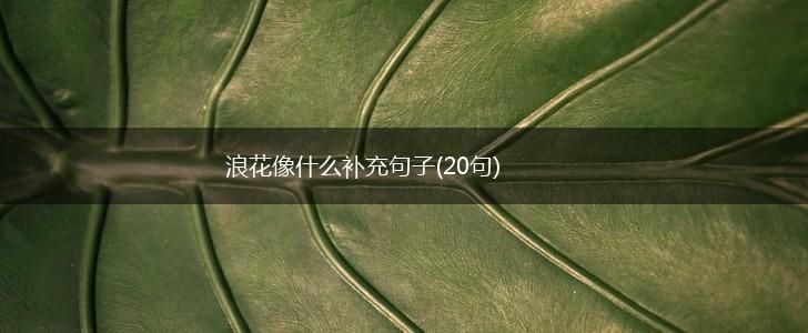 浪花像什么补充句子(20句),第1张