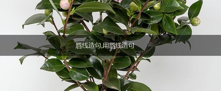 唇线造句,用唇线造句,第1张