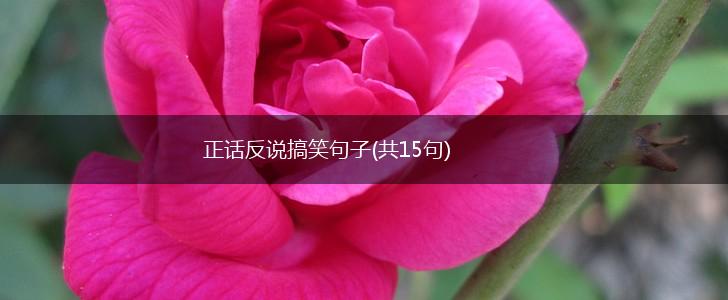 正话反说搞笑句子(共15句),第1张