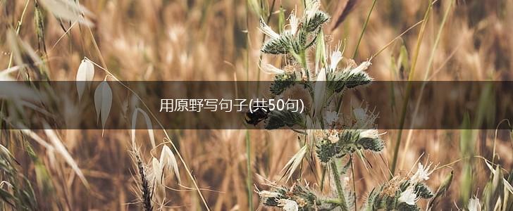 用原野写句子(共50句),第1张