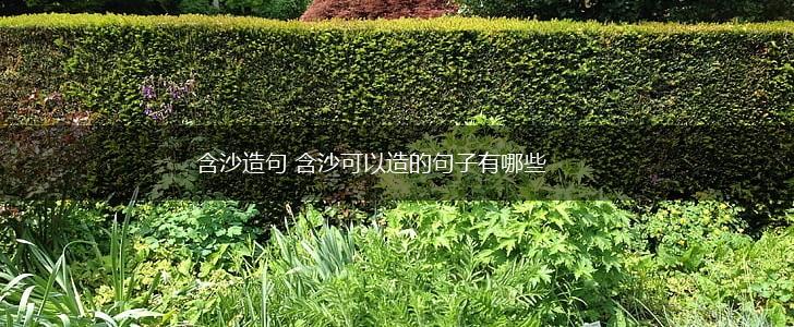 含沙造句 含沙可以造的句子有哪些,第1张
