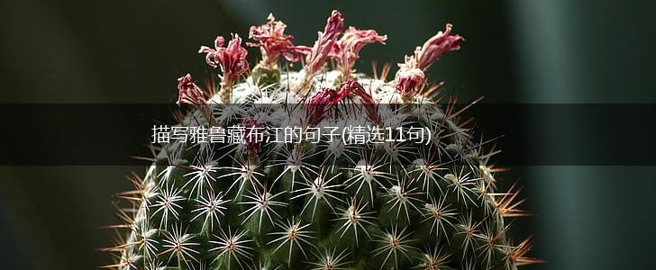 描写雅鲁藏布江的句子(精选11句),第1张