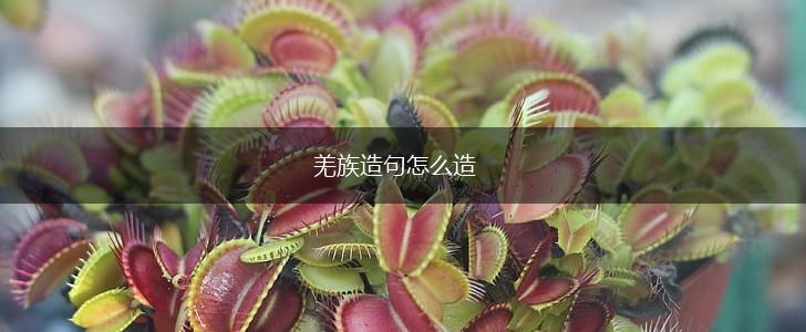 羌族造句怎么造,第1张