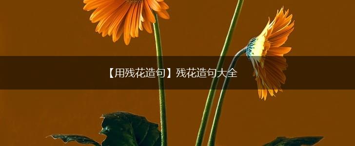 【用残花造句】残花造句大全,第1张 【用残花造句】残花造句大全,第1张