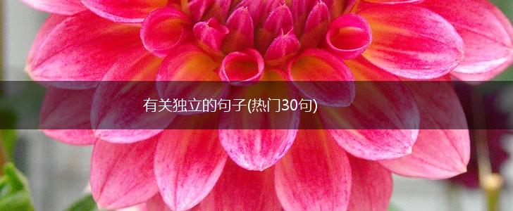有关独立的句子(热门30句),第1张