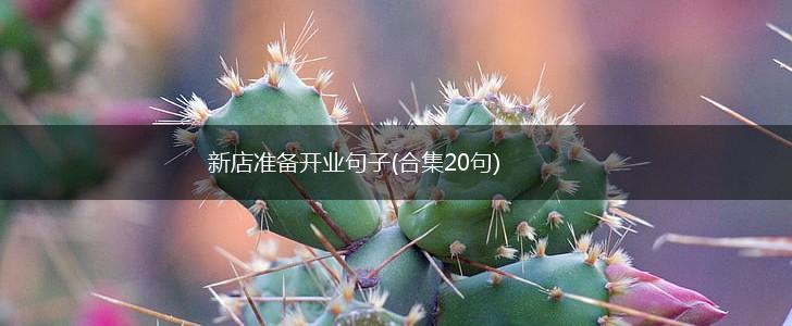 新店准备开业句子(合集20句),第1张