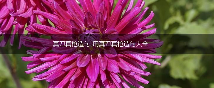 真刀真枪造句_用真刀真枪造句大全,第1张