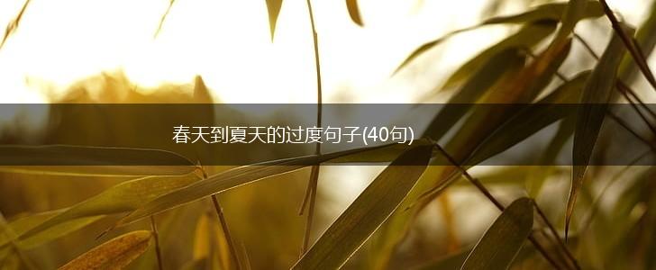 春天到夏天的过度句子(40句),第1张