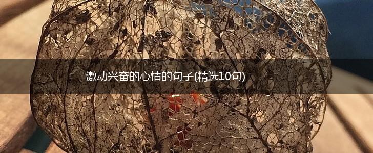 激动兴奋的心情的句子(精选10句),第1张