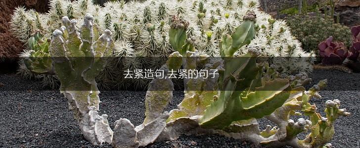 去紧造句,去紧的句子,第1张