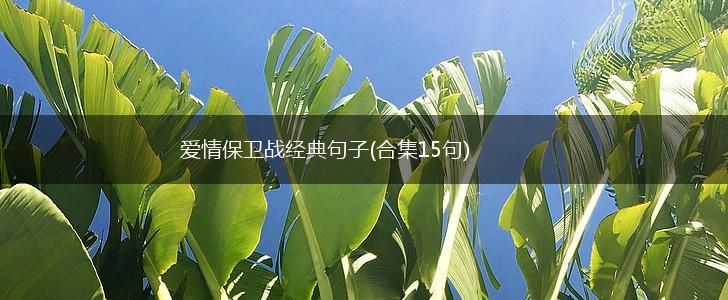 爱情保卫战经典句子(合集15句),第1张