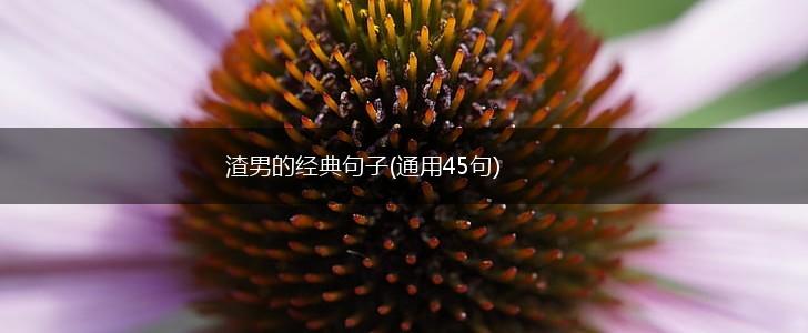 渣男的经典句子(通用45句),第1张