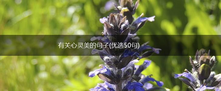 有关心灵美的句子(优选50句),第1张