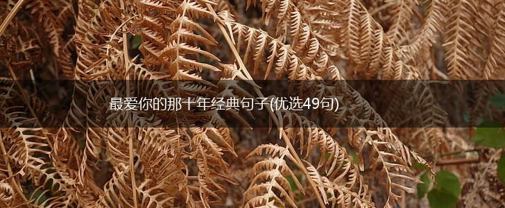 最爱你的那十年经典句子(优选49句),第1张
