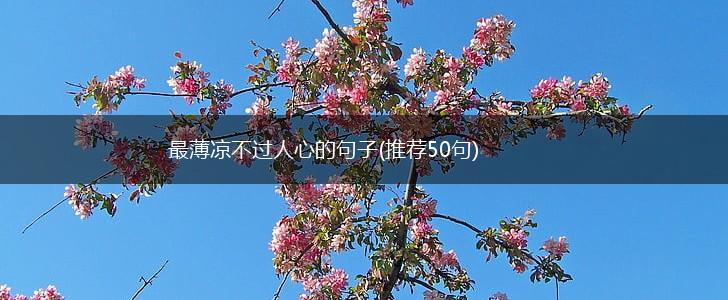 最薄凉不过人心的句子(推荐50句),第1张