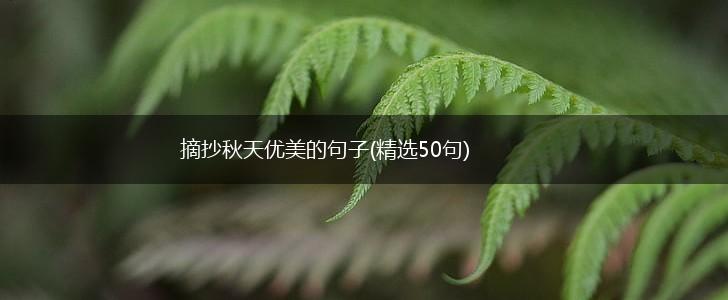 摘抄秋天优美的句子(精选50句),第1张