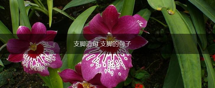 支脚造句 支脚的句子,第1张 支脚造句 支脚的句子,第1张