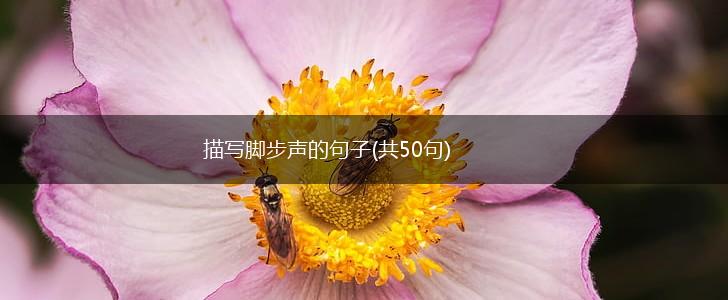 描写脚步声的句子(共50句),第1张