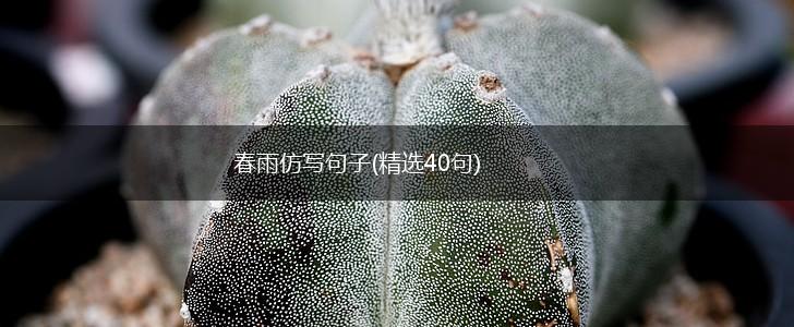 春雨仿写句子(精选40句),第1张