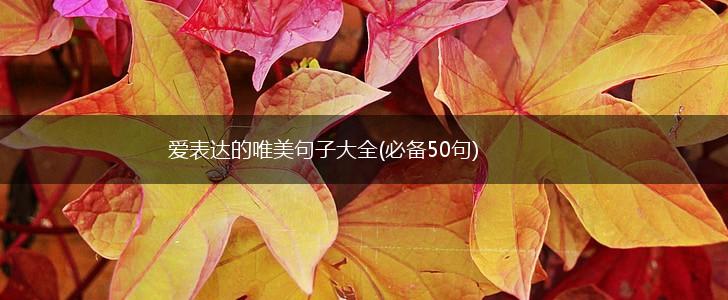 爱表达的唯美句子大全(必备50句),第1张