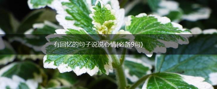 有回忆的句子说说心情(必备9句),第1张