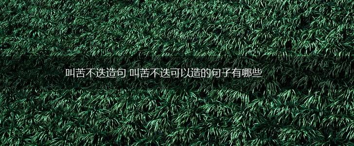 叫苦不迭造句 叫苦不迭可以造的句子有哪些,第1张