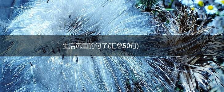 生活沉重的句子(汇总50句),第1张