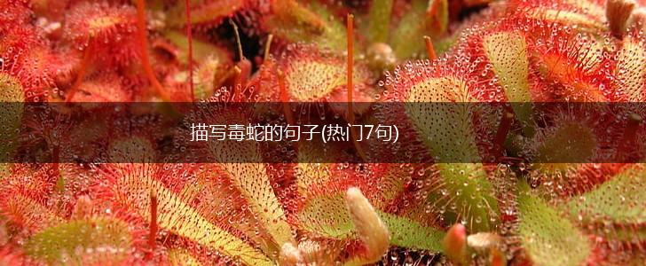 描写毒蛇的句子(热门7句),第1张