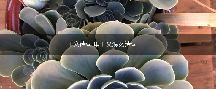 干文造句,用干文怎么造句,第1张
