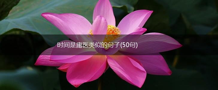 时间是庸医类似的句子(50句),第1张
