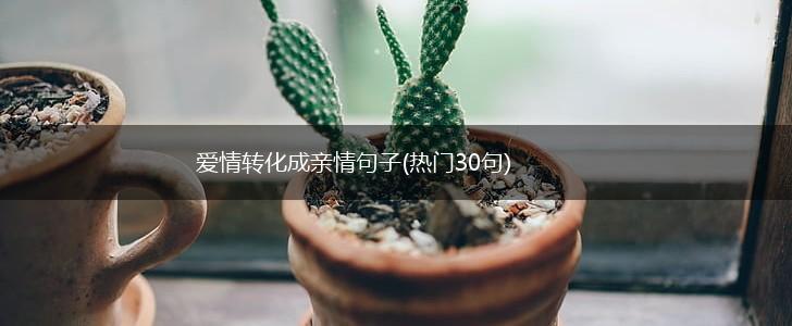 爱情转化成亲情句子(热门30句),第1张