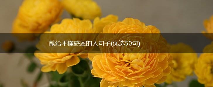 献给不懂感恩的人句子(优选50句),第1张