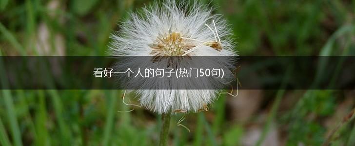 看好一个人的句子(热门50句),第1张