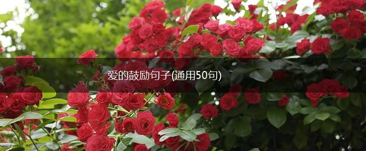 爱的鼓励句子(通用50句),第1张