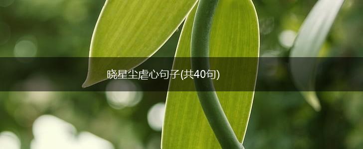 晓星尘虐心句子(共40句),第1张