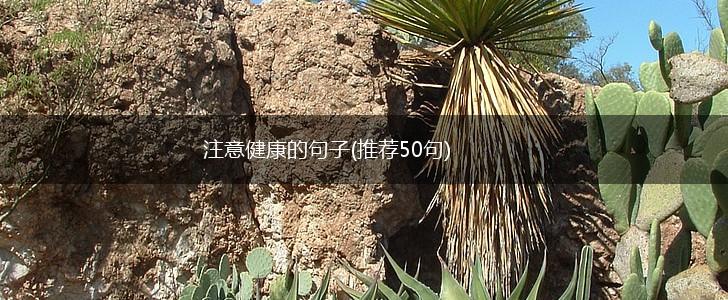 注意健康的句子(推荐50句),第1张