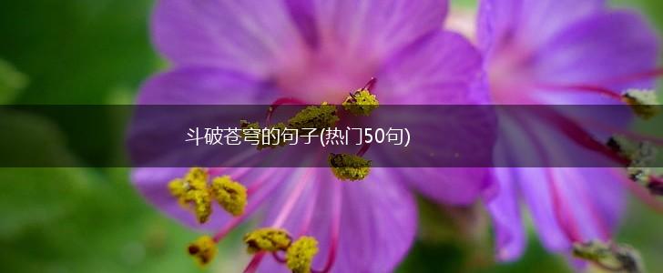 斗破苍穹的句子(热门50句),第1张