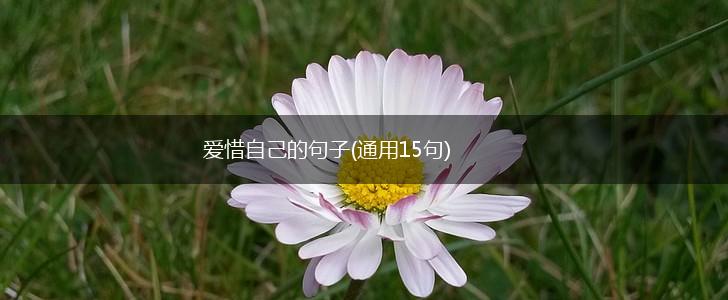 爱惜自己的句子(通用15句),第1张