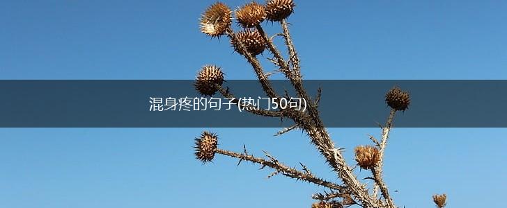 混身疼的句子(热门50句),第1张