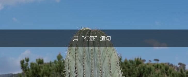 用“行迹”造句,第1张