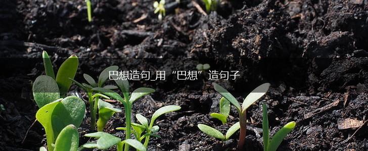 巴想造句_用“巴想”造句子,第1张 巴想造句_用“巴想”造句子,第1张