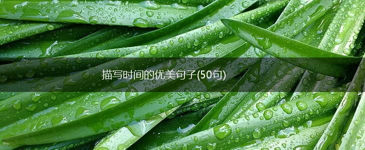 描写时间的优美句子(50句),第1张