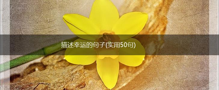 描述幸运的句子(实用50句),第1张