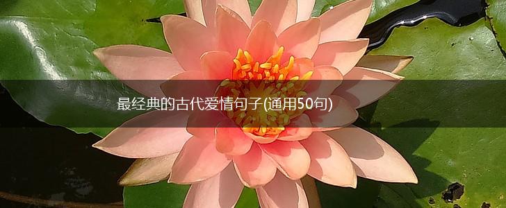 最经典的古代爱情句子(通用50句),第1张
