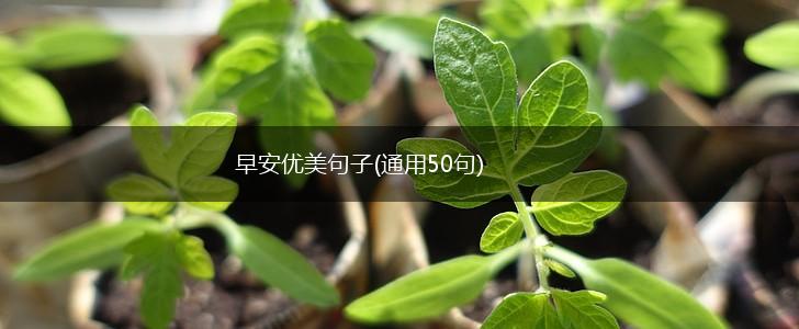 早安优美句子(通用50句),第1张